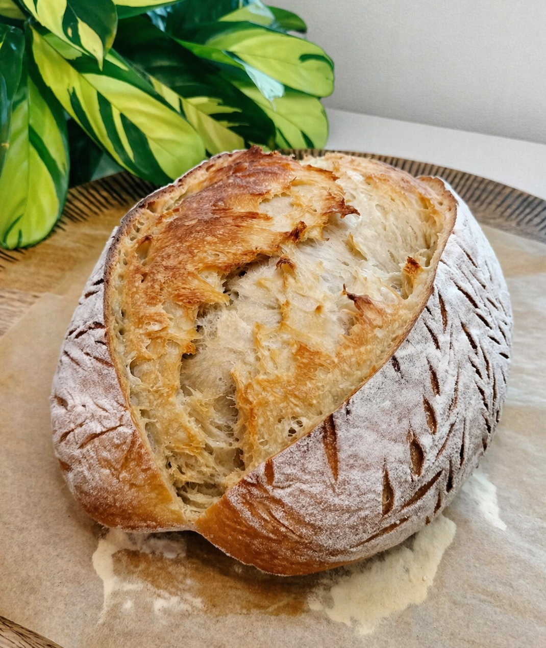 Plain Country Loaf Sourdough